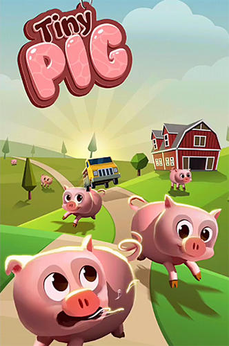 Ladda ner Tiny pig: Android Time killer spel till mobilen och surfplatta.
