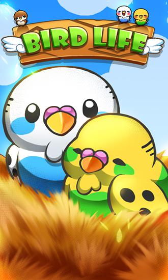 Ladda ner Bird life: Android Match 3 spel till mobilen och surfplatta.