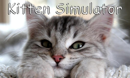 Ladda ner Kitten simulator: Android-spel till mobilen och surfplatta.