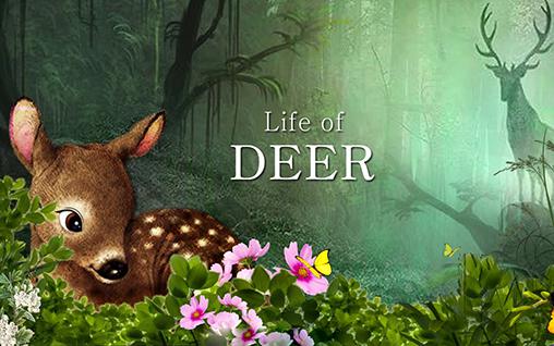 Ladda ner Life of deer: Android Animals spel till mobilen och surfplatta.