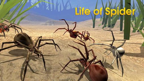 Ladda ner Life of spider: Android Animals spel till mobilen och surfplatta.