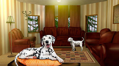 My dalmatian dog sim: Home pet life
