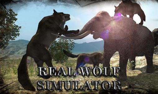 Ladda ner Real wolf simulator på Android 4.3 gratis.