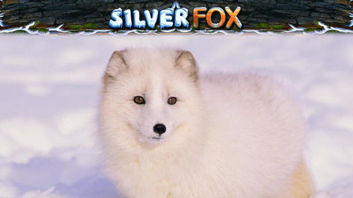 Silver fox slot