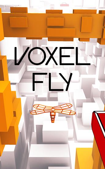 Voxel fly