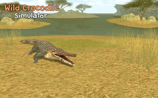 Wild crocodile simulator 3D