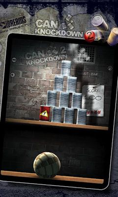 Can Knockdown 2