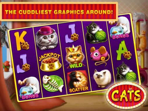 Cats slots: Casino vegas