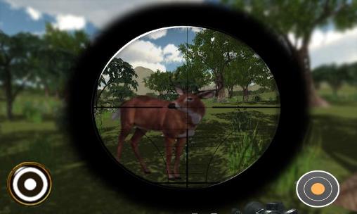 Hunter sniper: Shooting deer