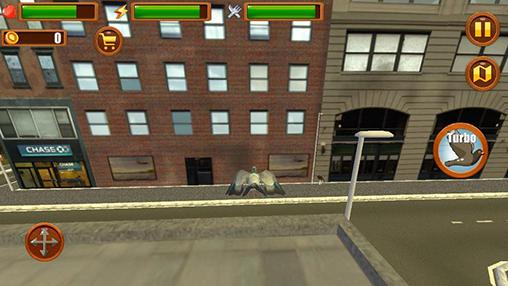 City bird: Pigeon simulator 3D