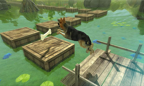 Dog simulator 3D