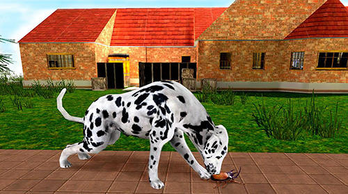 My dalmatian dog sim: Home pet life