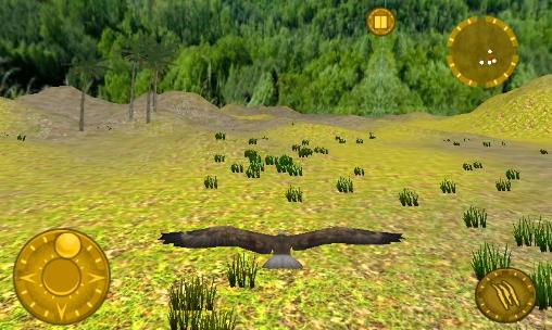 Wild eagle: Survival hunt
