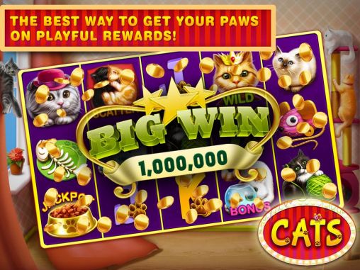 Cats slots: Casino vegas