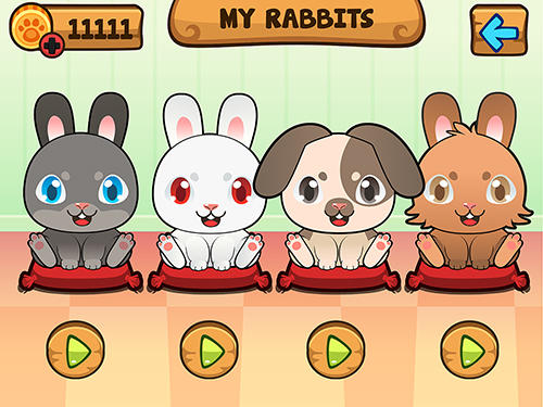 My virtual rabbit