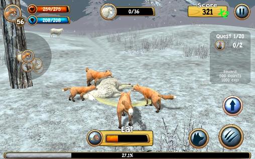 Wild fox sim 3D