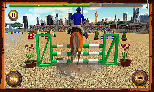 Horse show jumping challenge