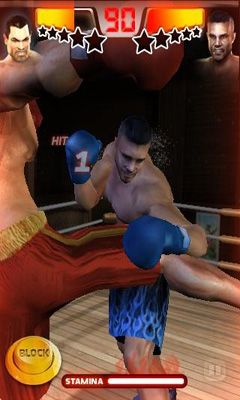 Realtech Iron Fist Boxing