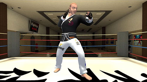Karate fighting tiger 3D 2