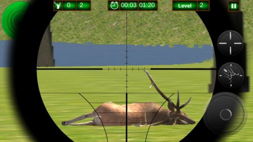 Stag hunting 3D
