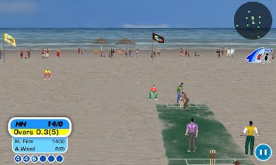 Beach Cricket