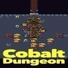 Med den aktuella spel Snake arena för Android ladda ner gratis Cobalt dungeon till den andra mobiler eller surfplattan.