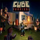 Med den aktuella spel Fairy legends: Flipped heart för Android ladda ner gratis Cube survival story till den andra mobiler eller surfplattan.