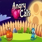 Med den aktuella spel Mind Games för Android ladda ner gratis Angry cats till den andra mobiler eller surfplattan.