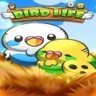 Med den aktuella spel Prize Claw: Halloween för Android ladda ner gratis Bird life till den andra mobiler eller surfplattan.
