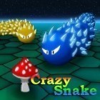 Med den aktuella spel Catch me. Catch the dancing panda! för Android ladda ner gratis Crazy Snake till den andra mobiler eller surfplattan.