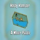 Med den aktuella spel Bouncy pong för Android ladda ner gratis Hasty hamster and the sunken pyramid: A water puzzle till den andra mobiler eller surfplattan.