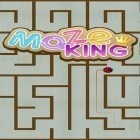 Med den aktuella spel Mobile legends: Adventure för Android ladda ner gratis Maze king till den andra mobiler eller surfplattan.