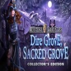Med den aktuella spel Shadow för Android ladda ner gratis Mystery castle files: Dire grove, sacred grove. Collector's edition till den andra mobiler eller surfplattan.