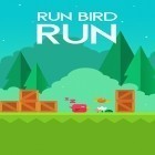 Med den aktuella spel Spellstorm för Android ladda ner gratis Run bird run till den andra mobiler eller surfplattan.