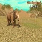 Med den aktuella spel Perfect dragon för Android ladda ner gratis Wild elephant simulator 3D till den andra mobiler eller surfplattan.