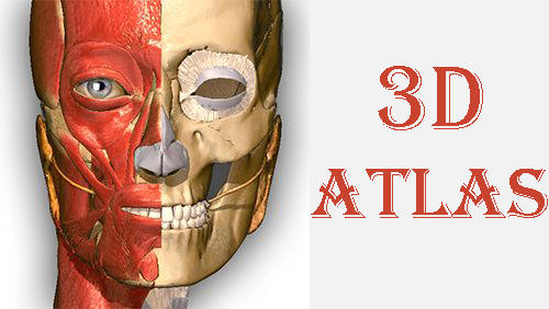 Ladda ner Anatomy learning - 3D atlas till Android gratis.