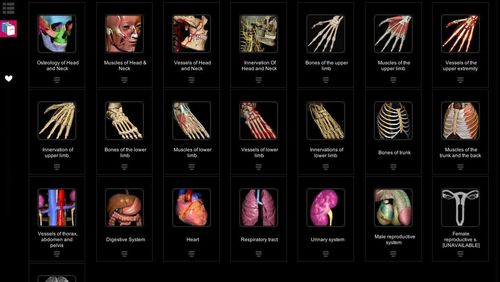 Anatomy learning - 3D atlas