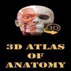 Ladda ner Muscle | Skeleton - 3D atlas of anatomy till Android gratis - det bästa app för din mobiler och surfplatta.