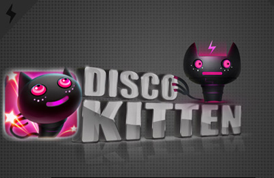 Disco Kitten