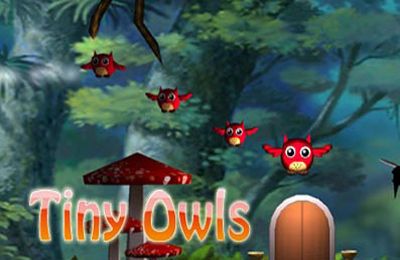 Ladda ner Arkadspel spel Tiny Owls på iPad.