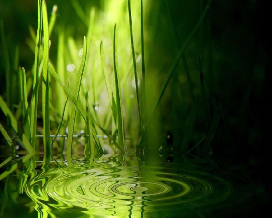 Abstraction, Water, Grass