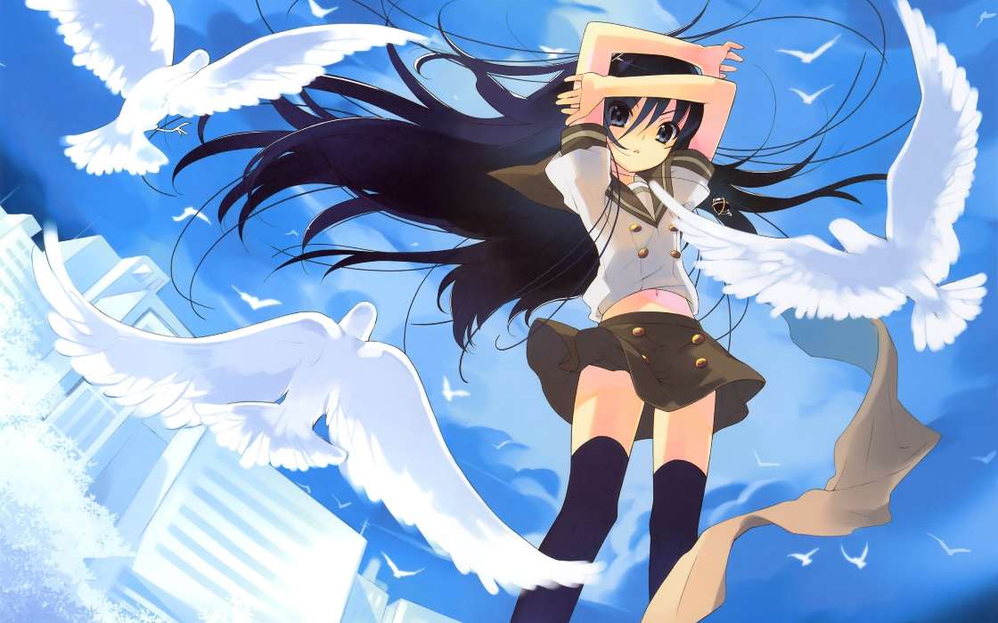 Anime, Girls, Pigeons, Sky