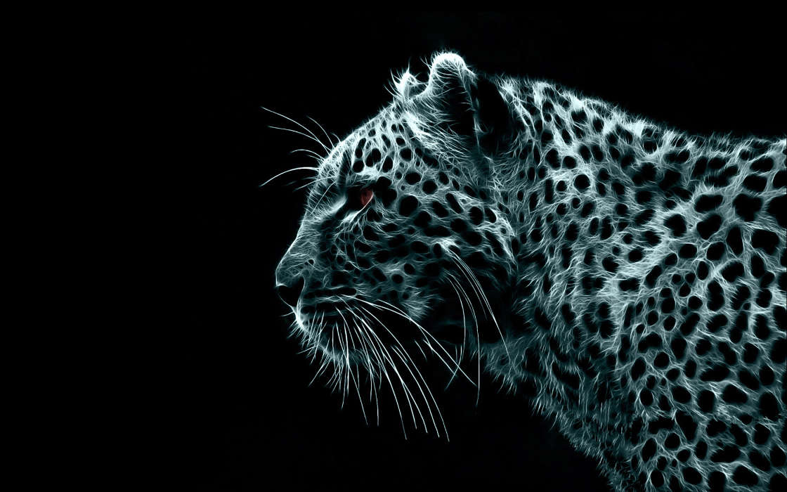 Animals, Art, Leopards
