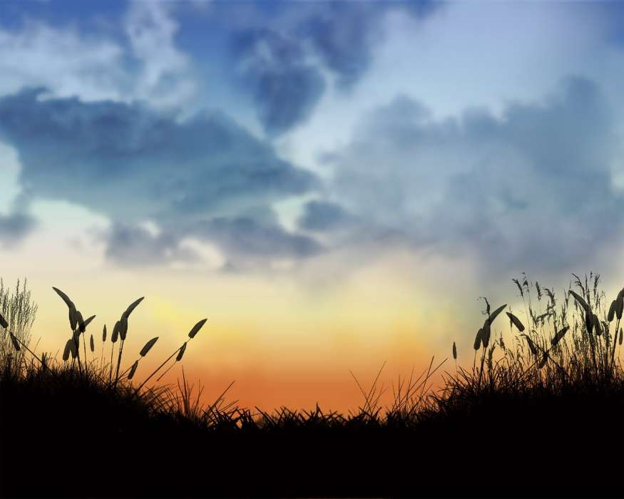 Landscape, Sunset, Grass, Sky