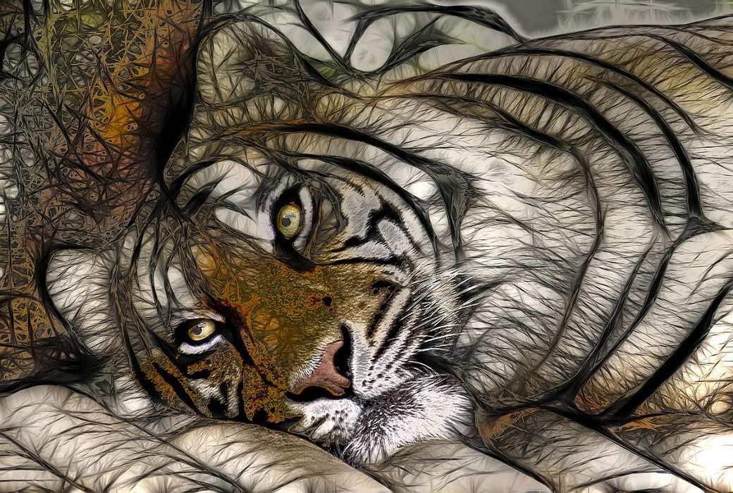 Animals, Art, Tigers, Drawings