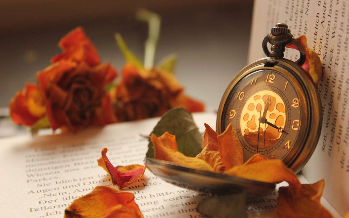 Clock, Objects, Autumn