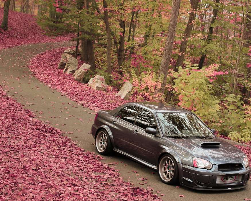 Auto, Roads, Leaves, Autumn, Subaru, Transport
