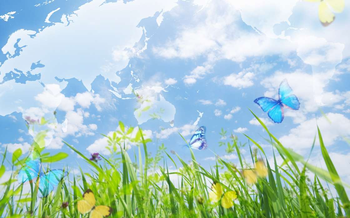 Landscape, Butterflies, Grass, Sky