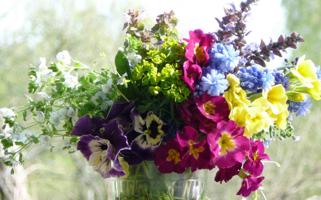 Bouquets, Flowers, Plants