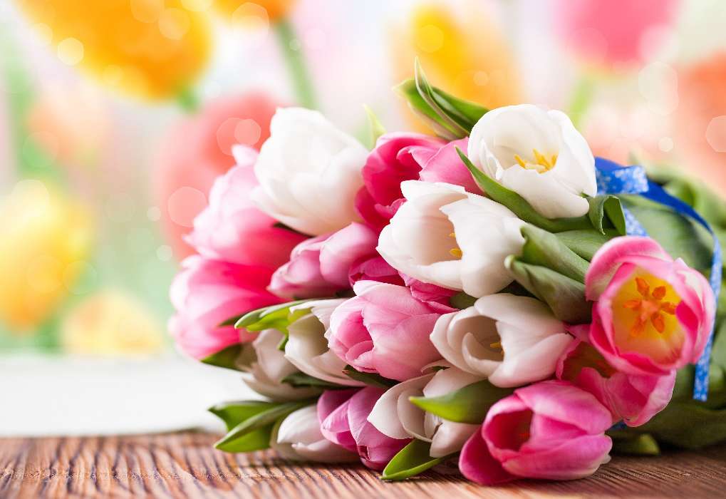 Bouquets, Flowers, Plants, Tulips